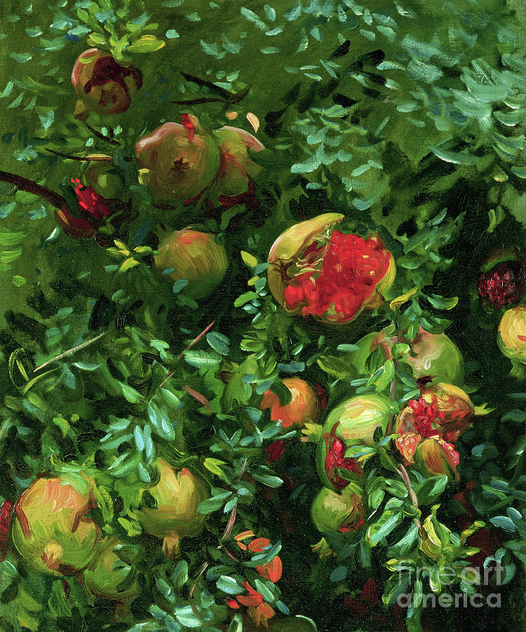 Pomegranates, Majorca #2 Painting by John Singer Sargent