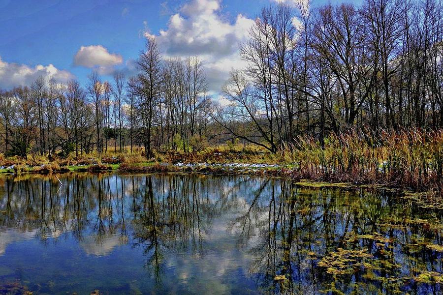 Pond Photograph by Karen Mayer - Fine Art America