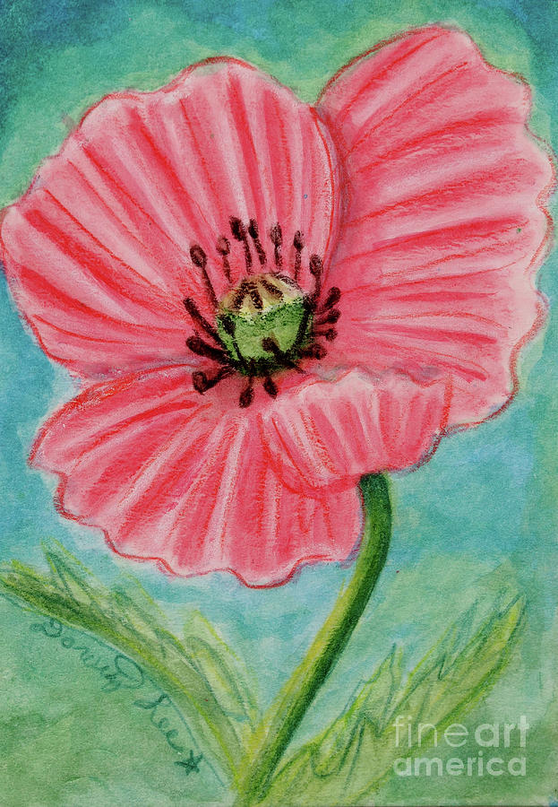 Poppy #1 Painting by Dorothy Lee