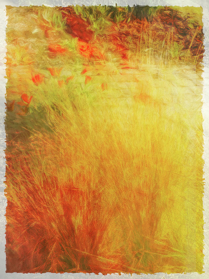 Poppy Field Painting Digital Art by Terry Davis