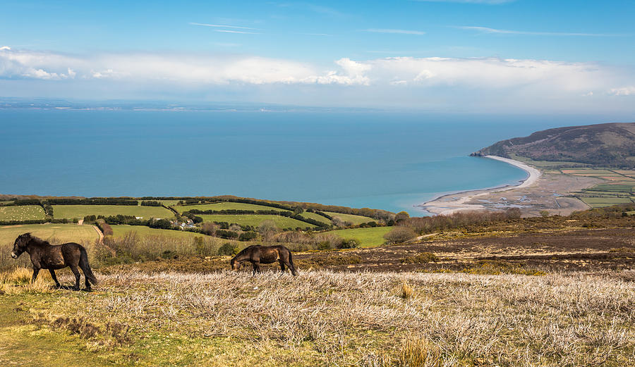 Porlock Common - Exmoor National Park - England Photograph by Golfer2015 Porlock Common - Exmoor National Park - England Photograph by Golfer2015