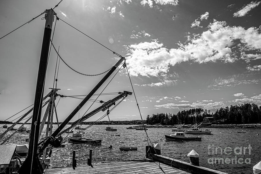 Port Clyde Fishing Warf #2 Photograph by Daniel Hebard