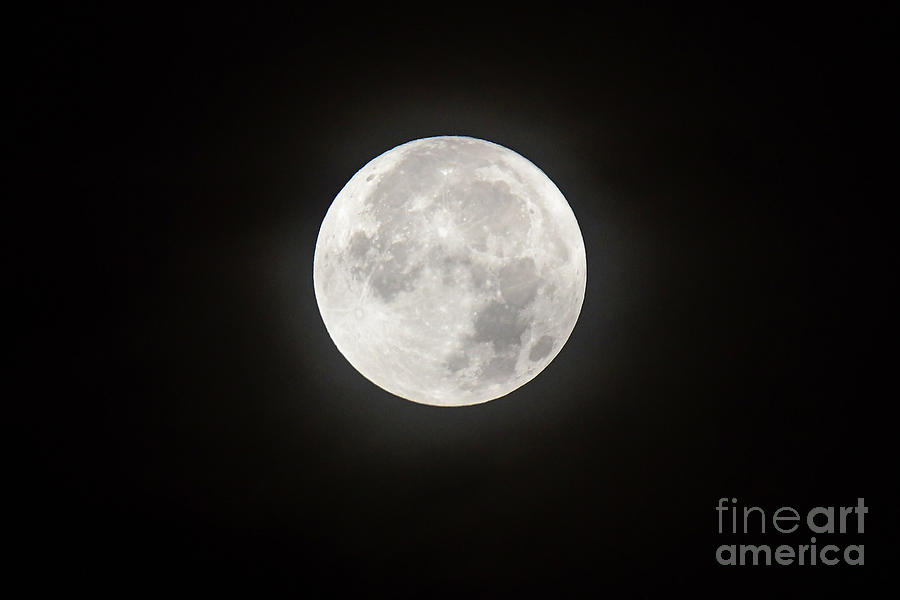 Portal Full Moon Photograph by Joanne West