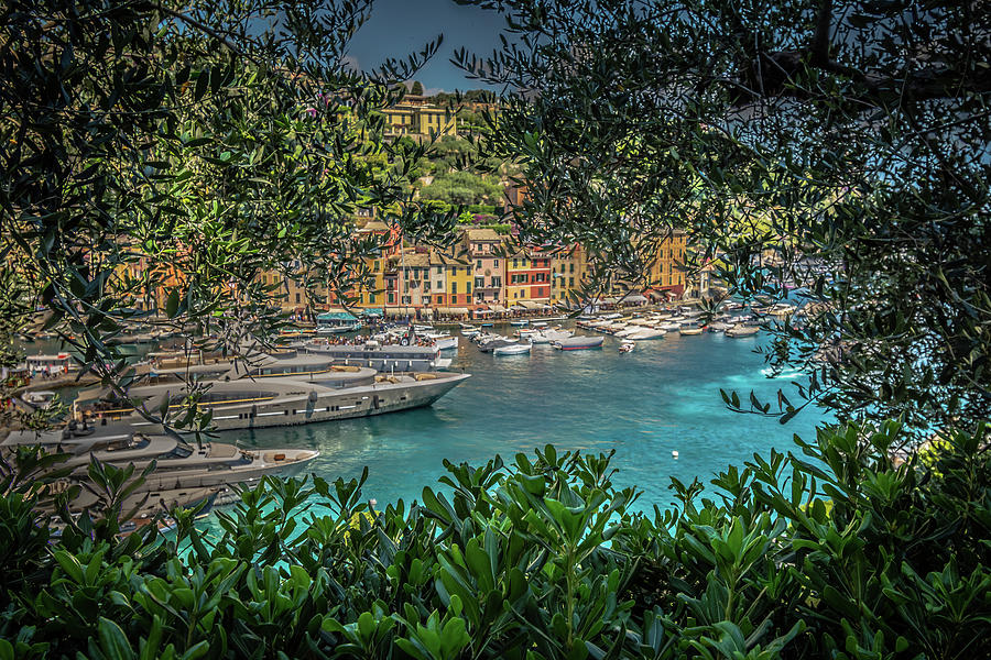 Portofino #1 Photograph by Bill Howard