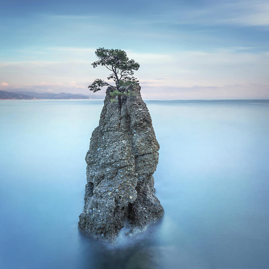 Portofino park. Pine tree rock cliff. Long exposure. Liguria, It #1 Photograph by Stefano Orazzini