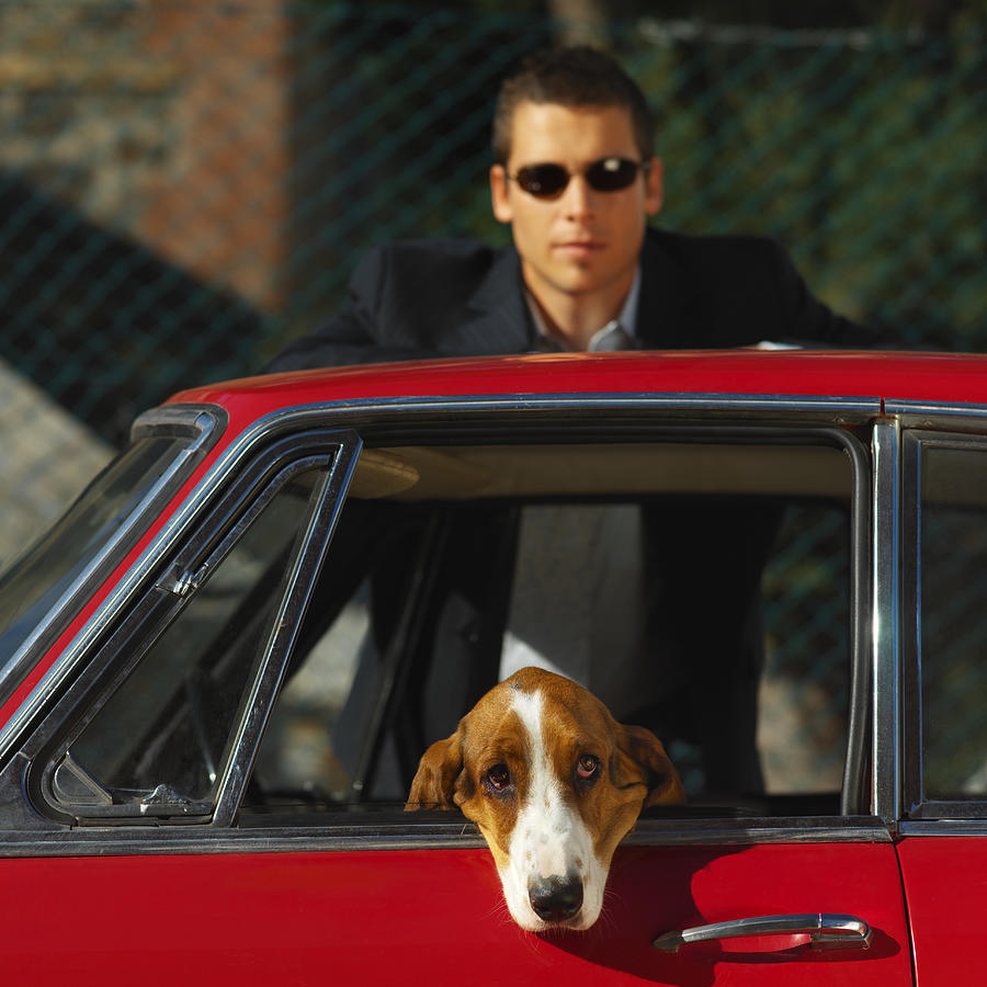 Portrait Of A Man Standing By His Car With His Basset Hound Leaning Out The Window #1 Photograph by George Doyle