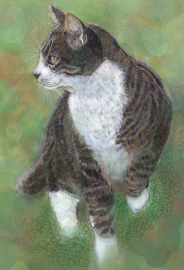 Portrait Of Cat Drawing