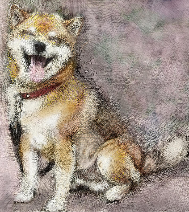 Portrait Of Dog Drawing