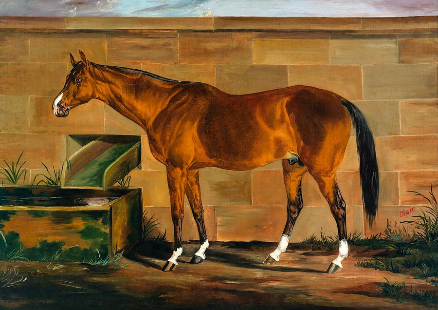 Horse Painting - Portrait Of Lexington #1 by Mountain Dreams