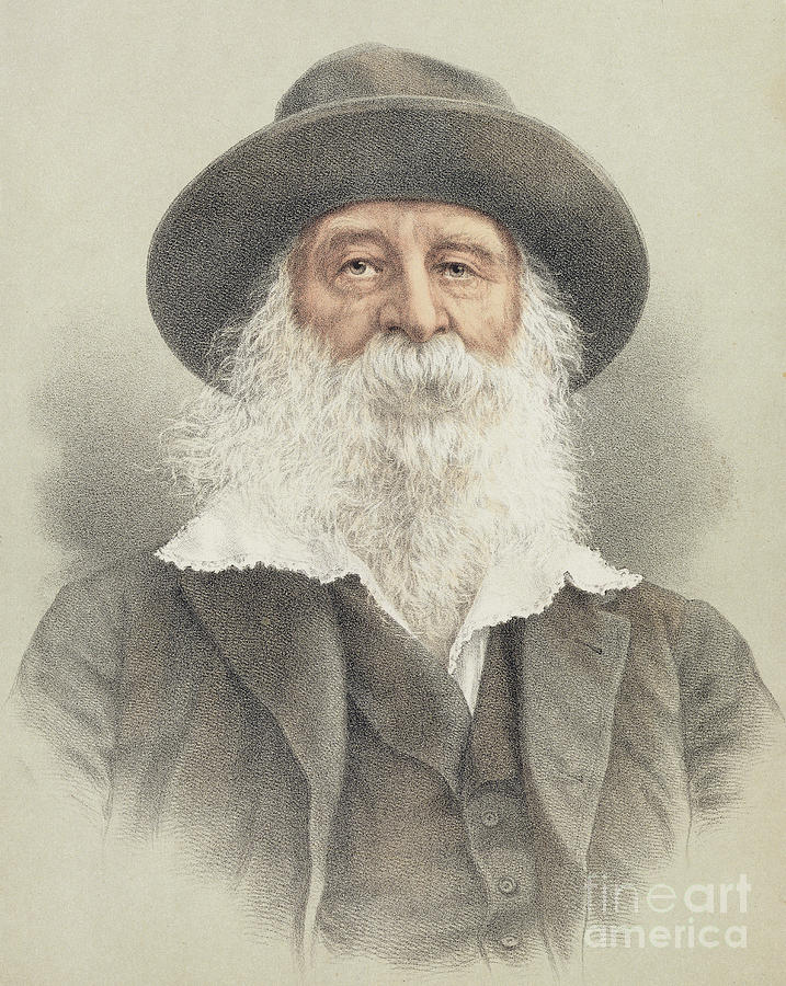 Portrait Painting - Portrait of Walt Whitman by American School