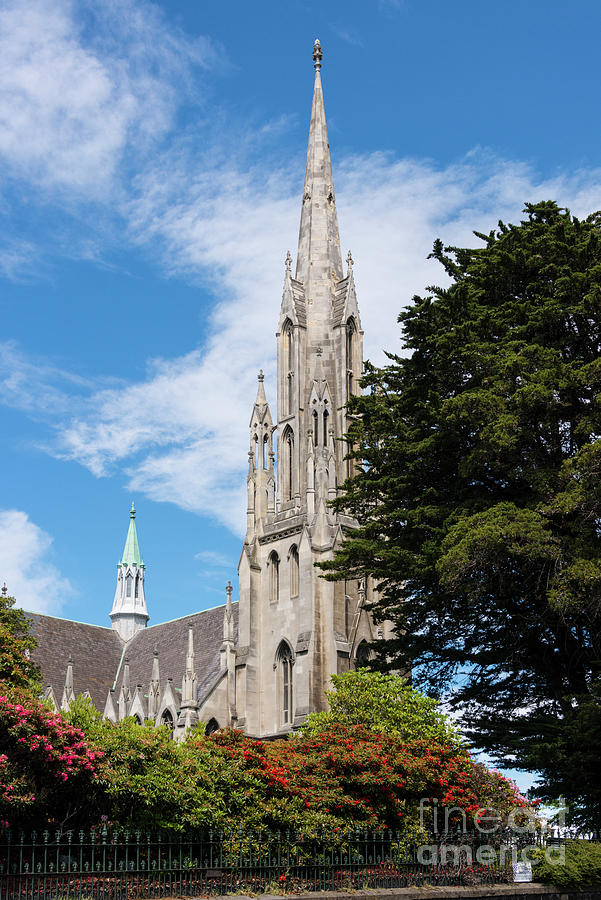 Presbyterian Church in Dunedin Photograph by Bob Phillips