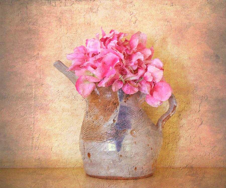 Pretty In Pink #1 Photograph by Tricia Marchlik