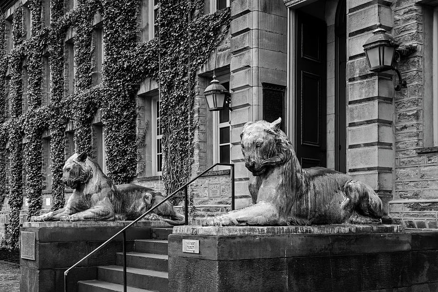Princeton University Nassau Hall III #1 Photograph by Susan Candelario