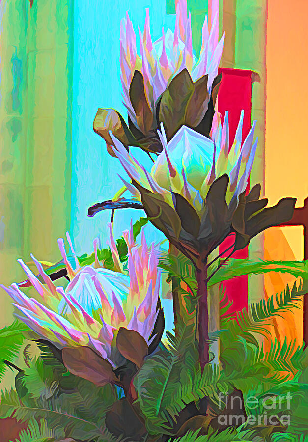 Protea Abstract #1 Digital Art by Trudee Hunter - Fine Art America