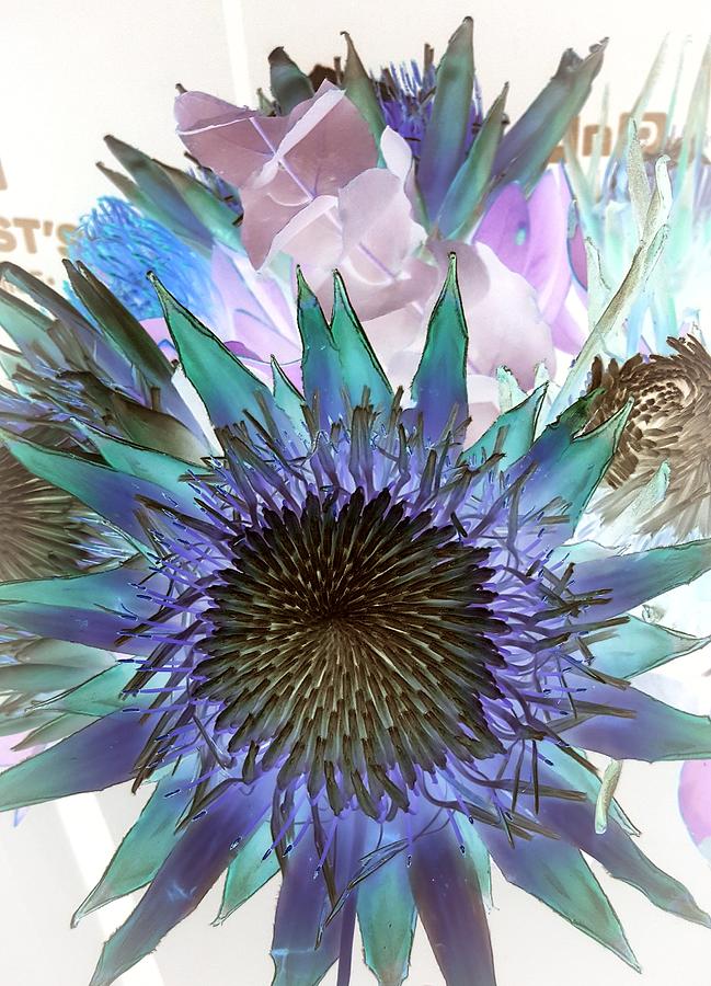 Protea in Blue #1 Digital Art by Loraine Yaffe