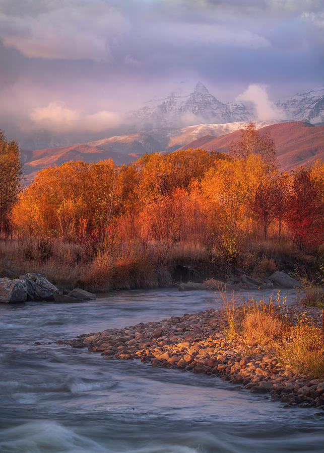 Provo River Fall Gold 5 x 7 Photograph by Johnny Adolphson Fine Art