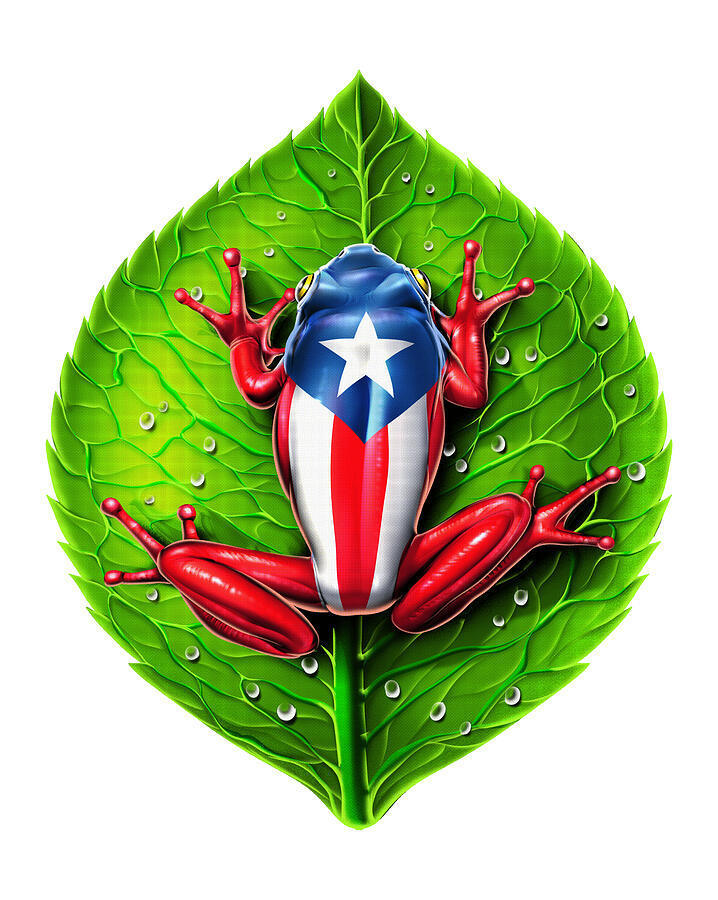 Puerto Rico Flag Coqui Frog #1 Digital Art by Nikolay Todorov - Fine ...