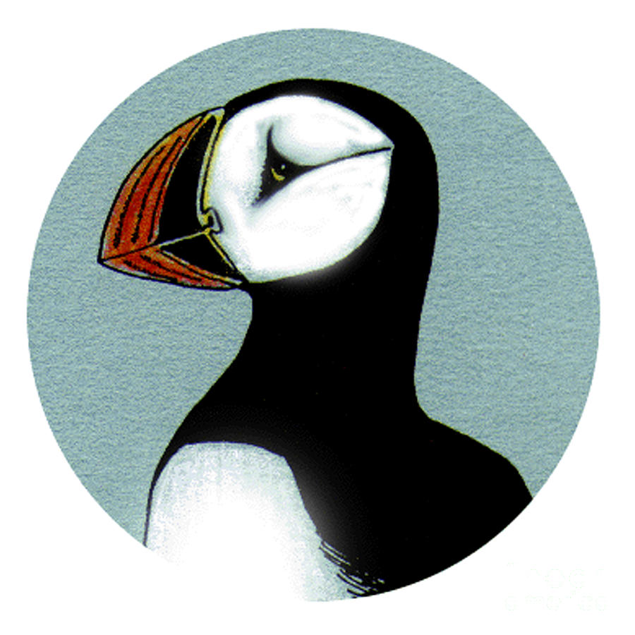 Puffin Portrait #1 Mixed Media by Art MacKay