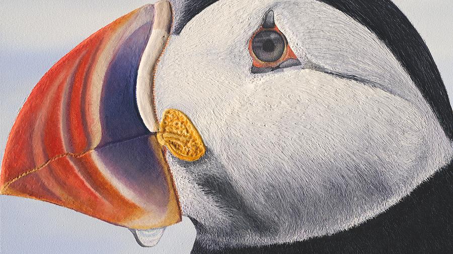 Puffin #2 Painting by Russell Hinckley