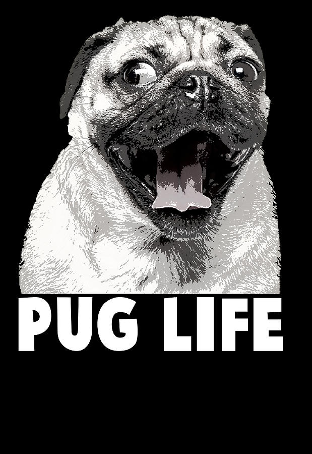 For offers pug life