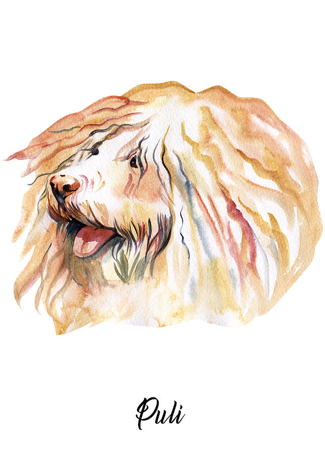 Puli Dog Breeds #1 Digital Art by Sambel Pedes