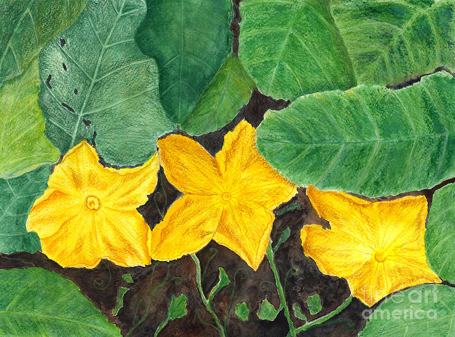 Pumpkin Blossoms in the Garden #2 Painting by Conni Schaftenaar