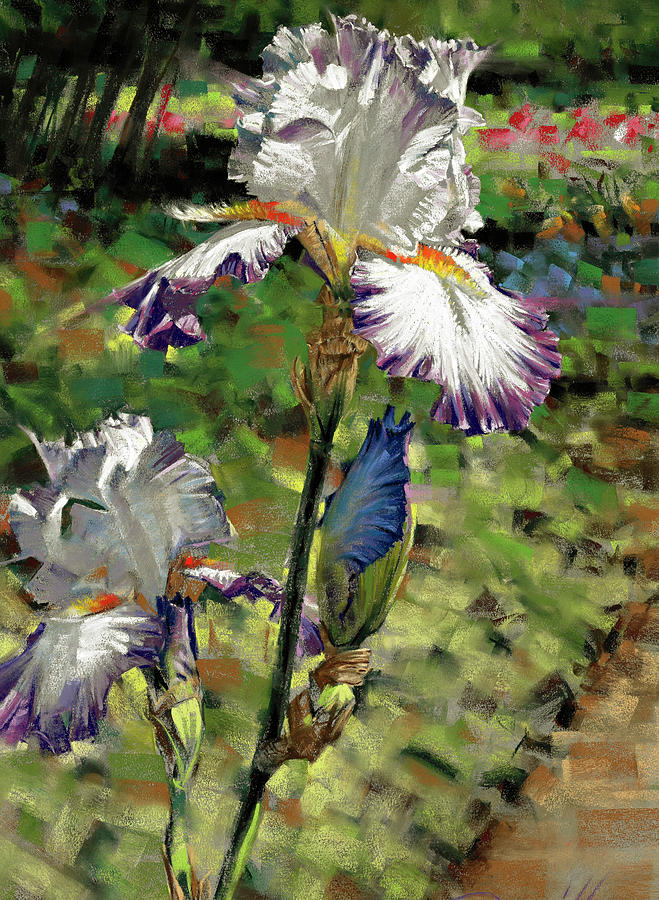 Purple Iris #1 Pastel by Mark Mille