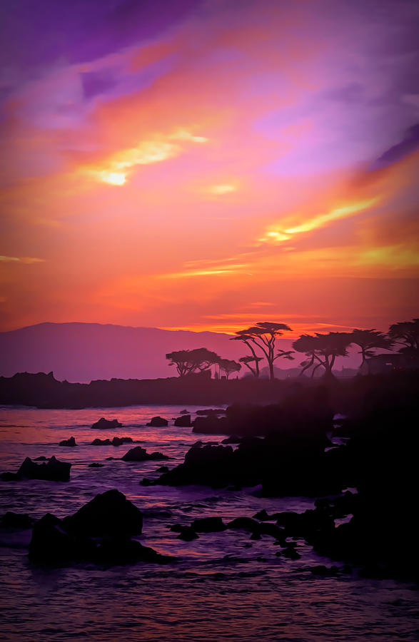 Purple Sunrise of Pacific Grove #1 Photograph by Barbara Snyder