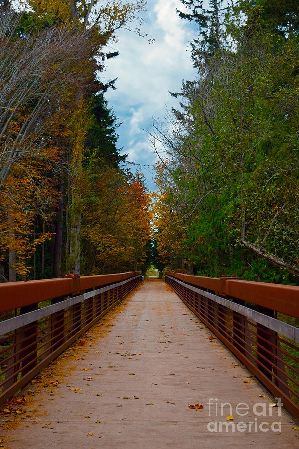 Railroad Bridge State Park Sequim Washington Photograph by Sherry