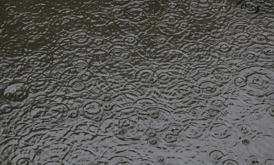 Abstract Photograph - Rain On Water #1 by Phil And Karen Rispin