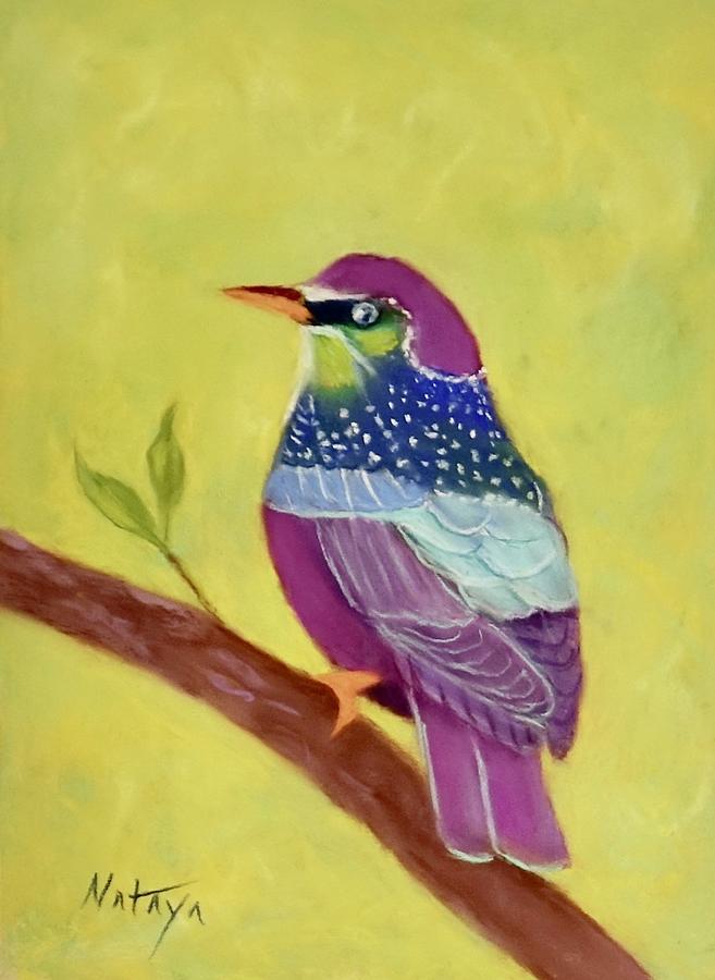 Rainbow Bird #1 Pastel by Nataya Crow