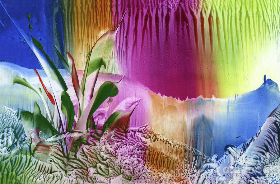 Rainbow Morning #1 Painting by Wilma Lopez