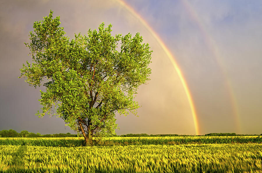 Rainbow Over Farmland #1 Photograph by Dave Reede