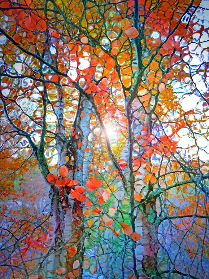 Rainbow Trees Digital Art by Tara Turner - Fine Art America