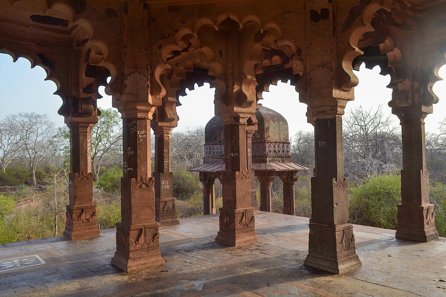 Ranthambore Fort/UNESCO World Heritage Site/Rajasthan #1 Photograph by Veena Nair