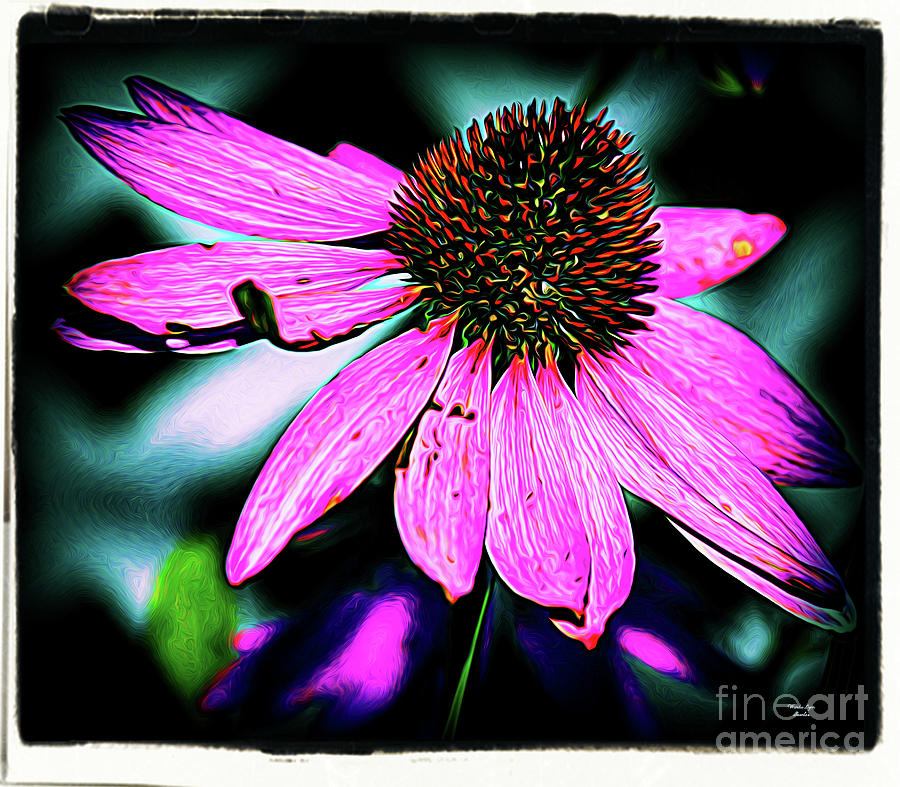 Flower Photograph -  Raspberry Haze #2 by Wanda-Lynn Searles