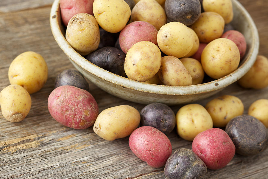 Raw multi-colored small potatoes in ceramic bowl on wood #1 Photograph by Billnoll
