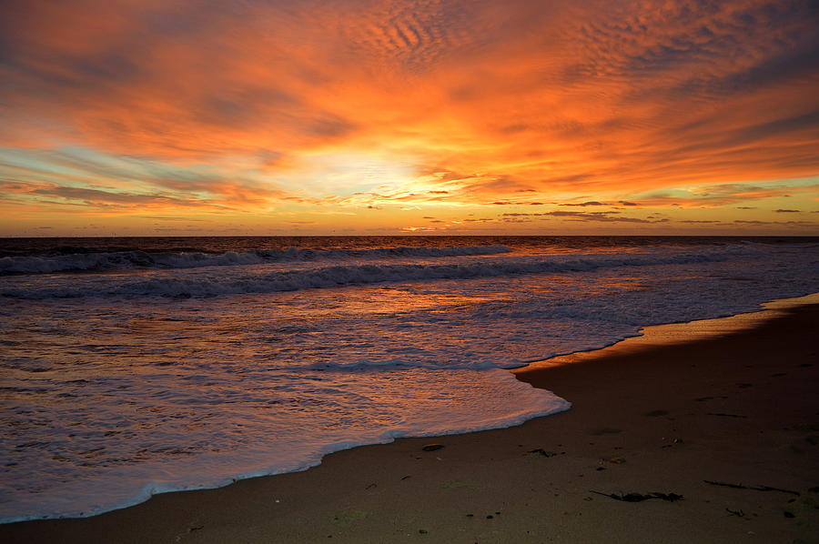 Reaching Out Cape Cod National Seashore Photograph By Dianne Cowen Cape Cod And Ocean 