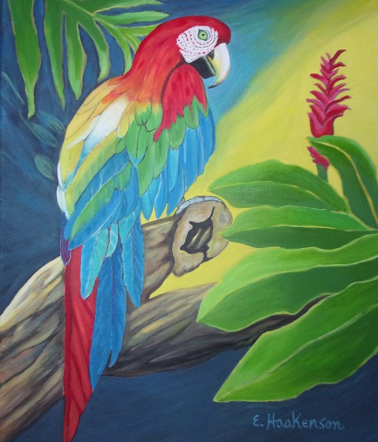 Red and Blue Macaw Painting by Elaine Haakenson - Fine Art America