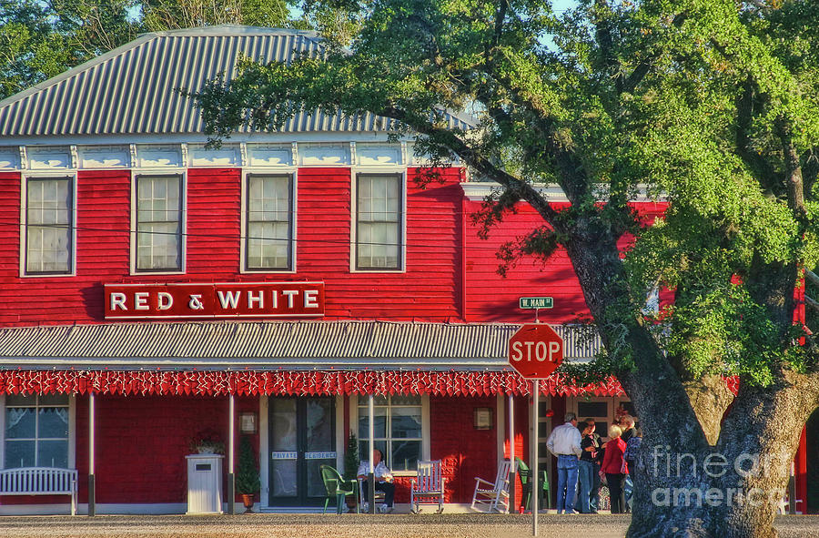 Red and White #1 Photograph by Joan Bertucci