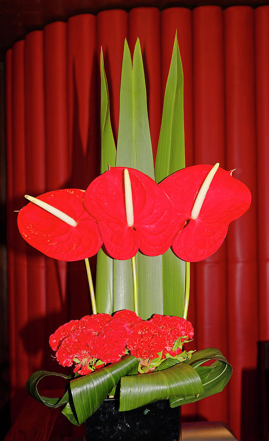 Red Anthuriums #2 Photograph by Sally Weigand