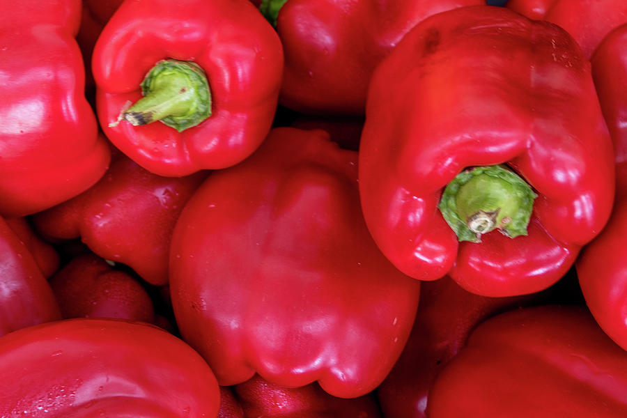 Red Bell Peppers #1 Photograph by Bradford Martin