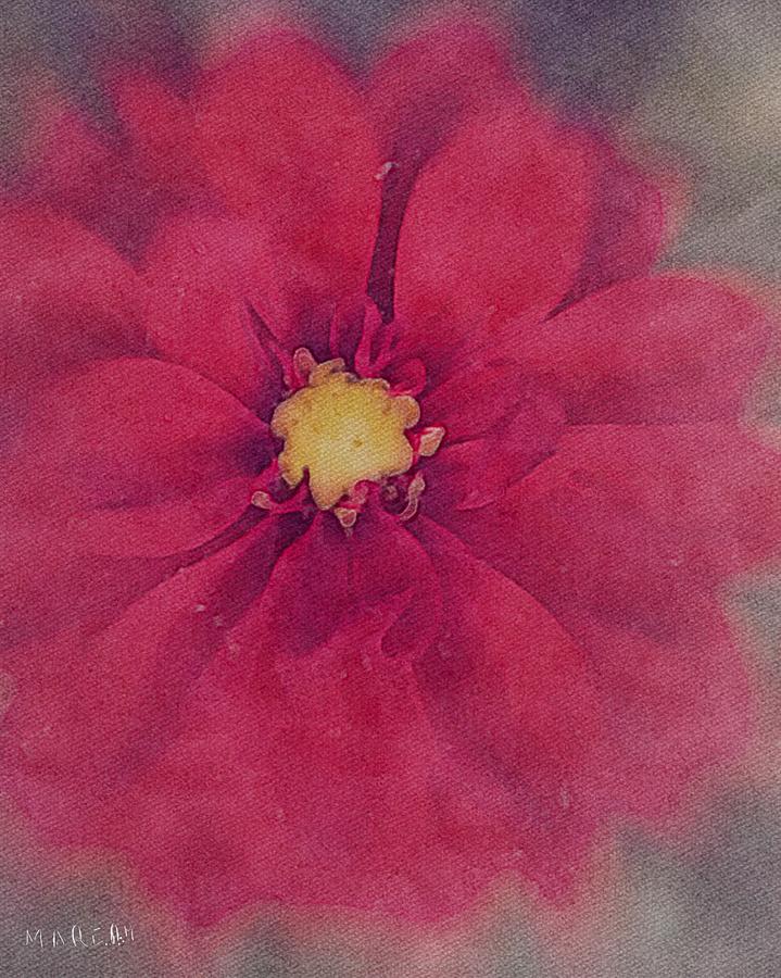 Red Dahlia  #1 Digital Art by Mariam Bazzi