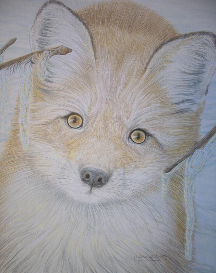 Beautiful Fox Drawing - Playful Red Fox with Shimmering Icicles by Deidra Smith