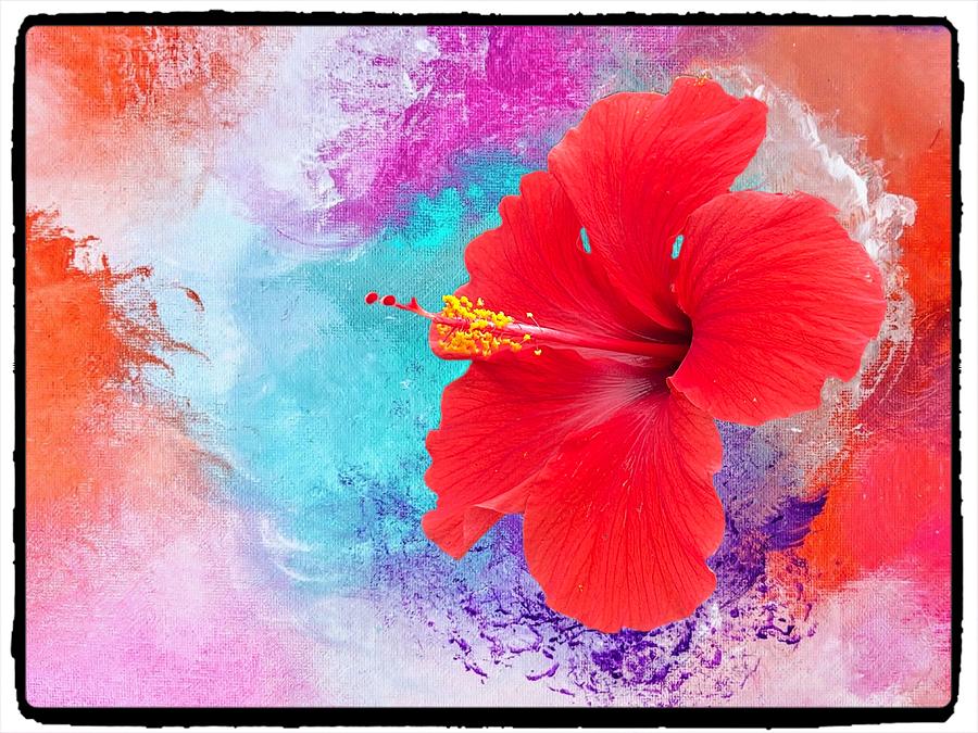Red Hibiscus  #1 Digital Art by Kathleen Boyles