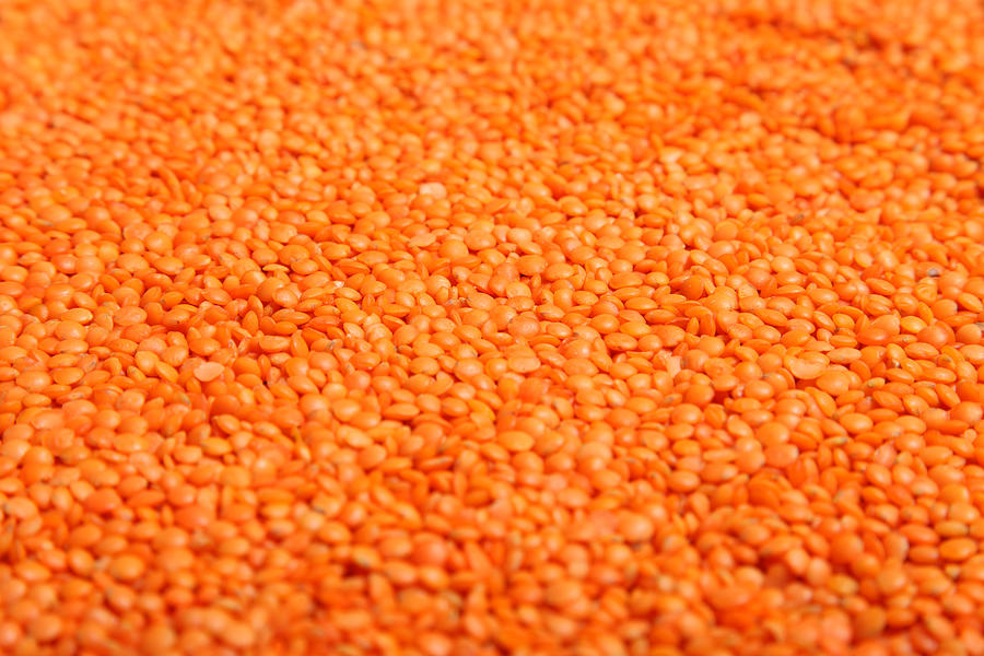 Red Lentils #1 Photograph by Harmpeti