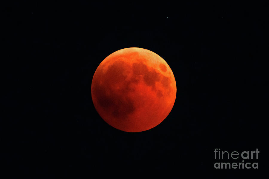 Red lunar eclipse #1 Photograph by Benny Marty