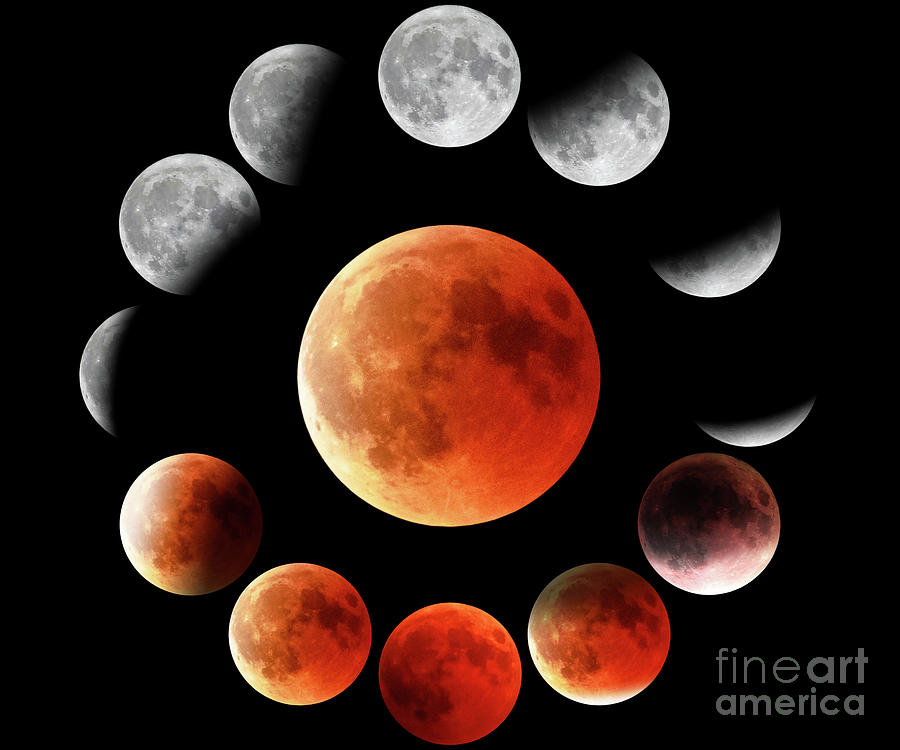 Red Moon Phases In Circle #1 Photograph by Benny Marty