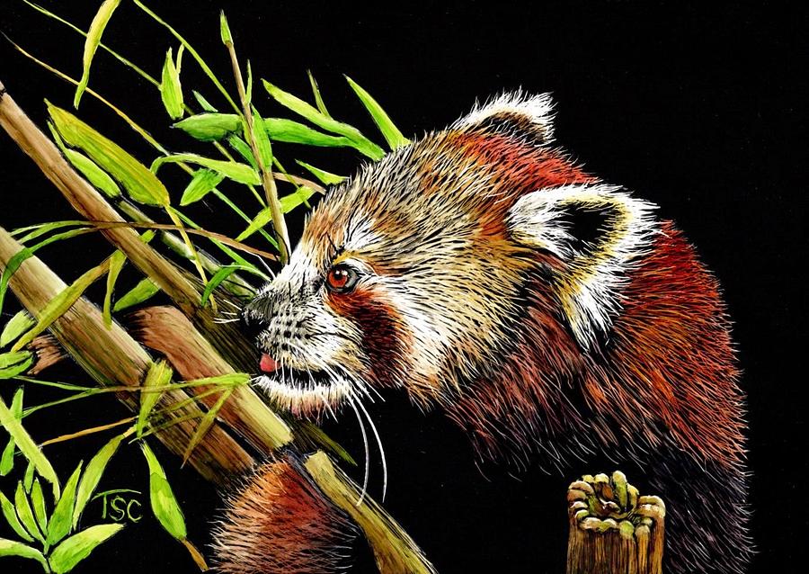 Red Panda #1 Painting by Tammy Crawford