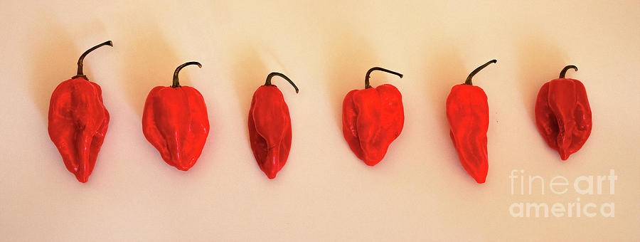 Red Peppers Photograph - Red Pepper by Felix Lai Red Peppers Photograph - Red Pepper by Felix Lai